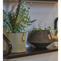 Wood'z Edge pot, Sage