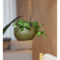 Pulp hanging pots, Burnt Olive