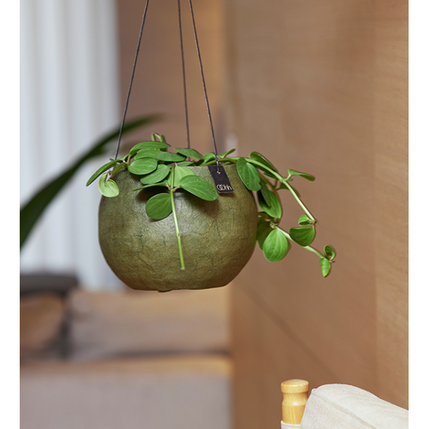 Pulp hanging pots, Black