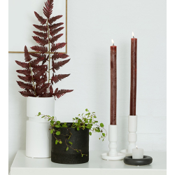 Timber Votives, 20 stk, Light Grey