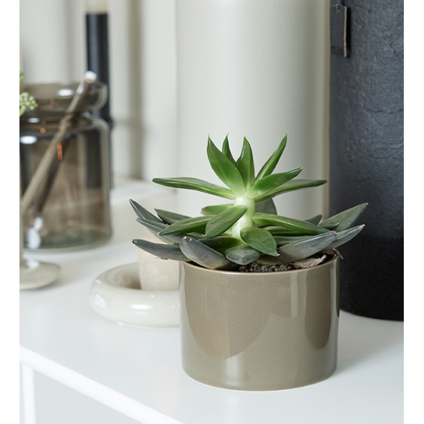 OOhh Mug &amp; Pot, Glossy Taupe