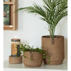 WOODz Alba pot, Light Wood