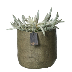 Pulp flower pot. Zero Waste, Burnt Olive