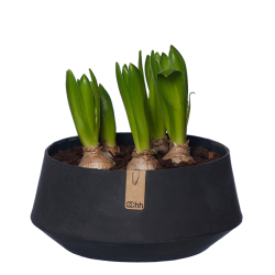 Tokyo Fad Small, Black