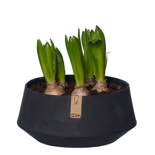 Tokyo Fad Small, Black