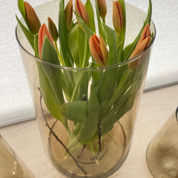 Valencia drop vase, Champagne