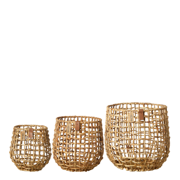 S/3 kurve, water hyacinth