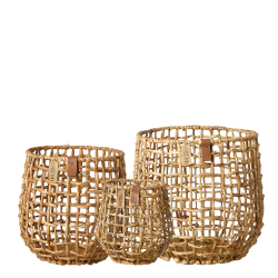 S/3 kurve, water hyacinth