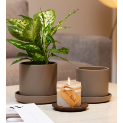 Timber� Pillar Candle, Moonlight 