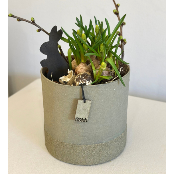 Wood'z Edge pot, Sage