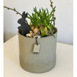 WOODz Edge potte, Sage