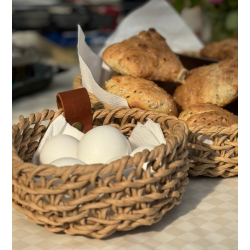 Woven Paper Trays, Set of 2, Natural