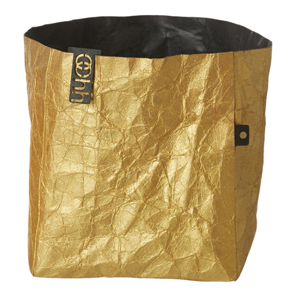 Krllet papirspotte, Guld