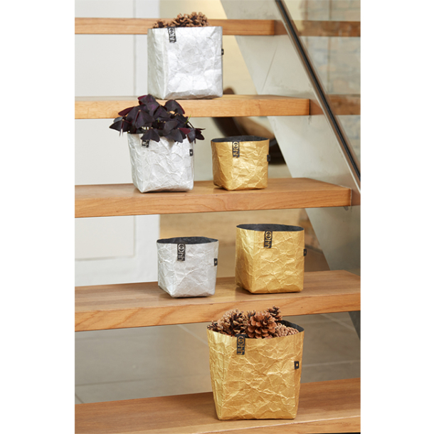 Krllet papirspotte, Guld