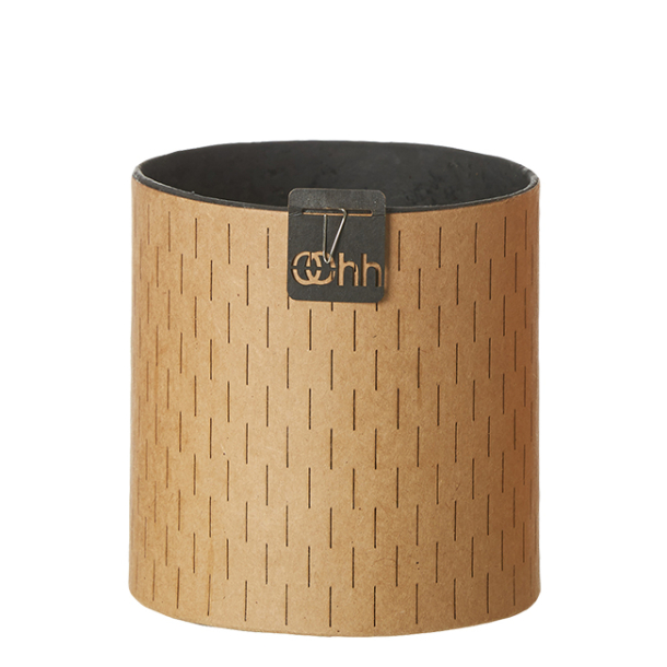 Paris blomsterpotte Natur 