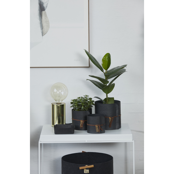 New York potte med lder, Black