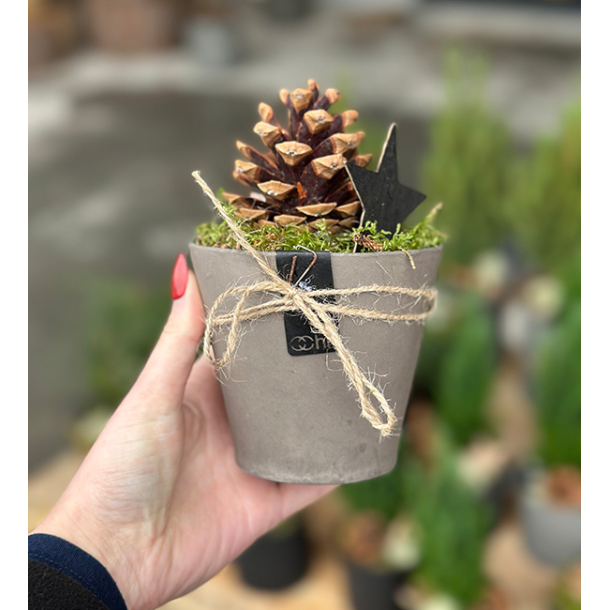 Set of 2 Tokyo pots, Taupe