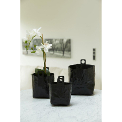 krllet firkantet papirspotte, Sort