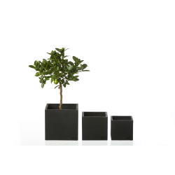 Firkantet Blomsterpotte, Black