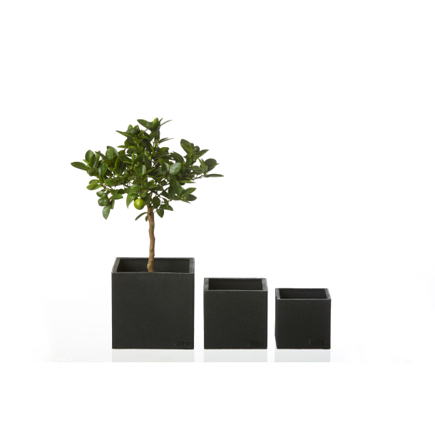 Firkantet Blomsterpotte, Black