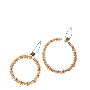 Set of 2 wires with paper stars - Nature