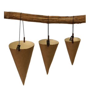 Hanging cones, rec. Paper S/3