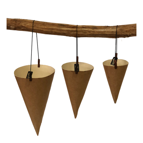 Hanging cones, rec. Paper S/3