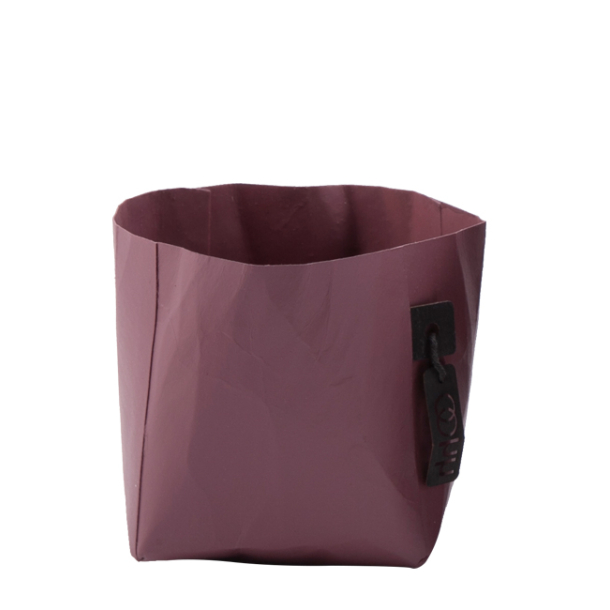 Florence potte, Wine