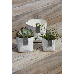 krllet firkantet papirspotte, Hvid