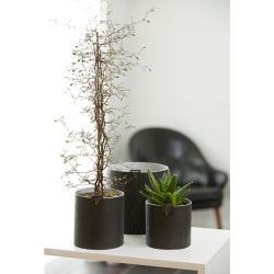 Paris blomsterpotte Sort 