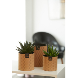 Paris blomsterpotte Natur 