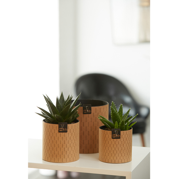 Paris blomsterpotte Natur 