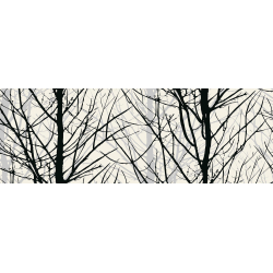 Light Paper, Woods, envelope w/2 pcs.