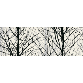 Light Paper, Woods, envelope w/2 pcs.