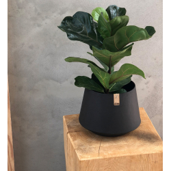 Tokyo Blomsterpotte, Black