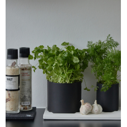 Wave bakke, Sort Mix mat