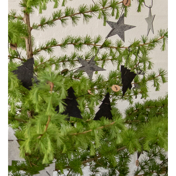 Xmas Strings Stars Black