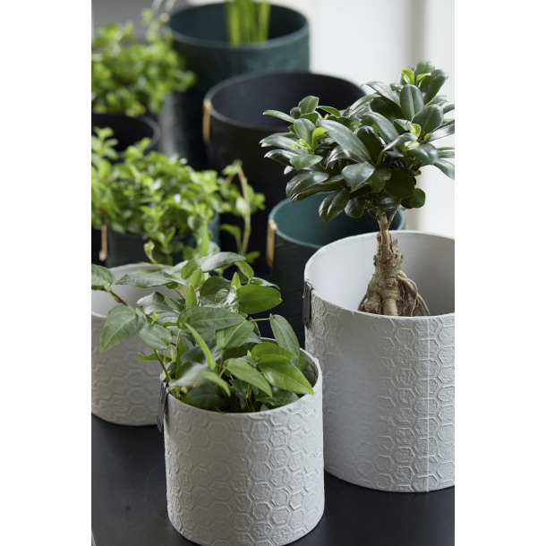 Zero Waste Graphic papirspotte, Black