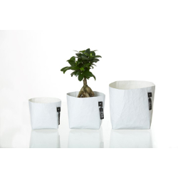 Florence potte, White