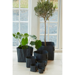 Oslo minipotte, Petroleum