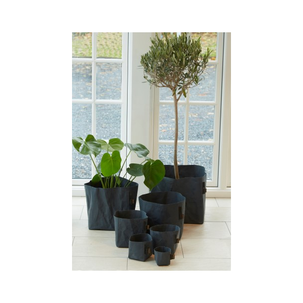 Oslo minipotte, Petroleum