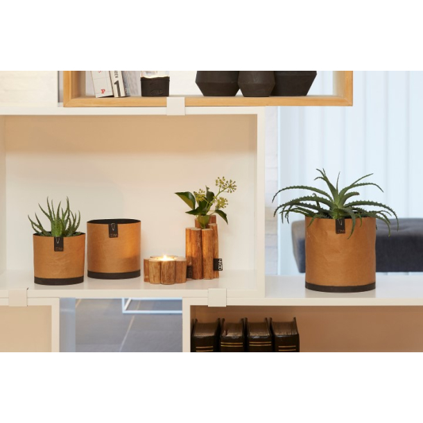 Cemented Creased papirspotte, Natural