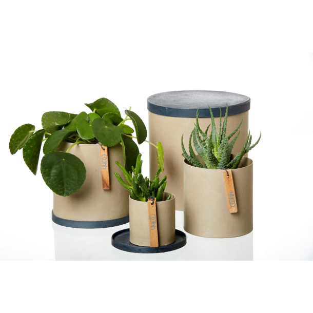 Rome bakke, Petroleum