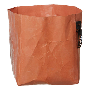 Florence potte, Flamingo