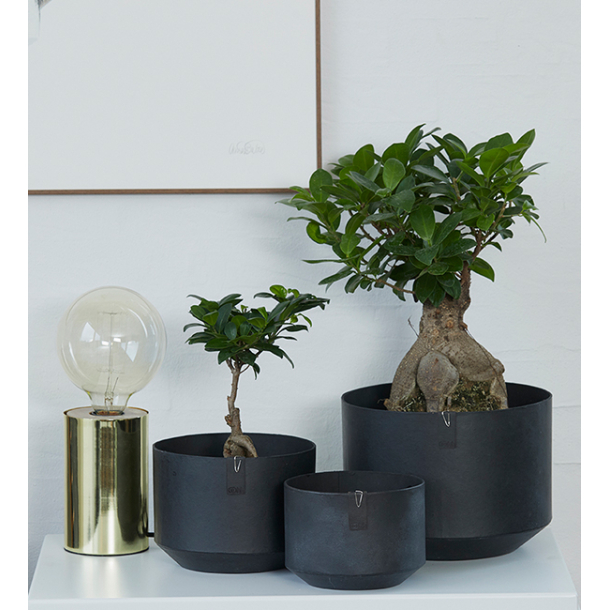 Alba blomsterpotte , Light Brown