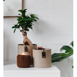 Madrid cylinder. Zero Waste, Black