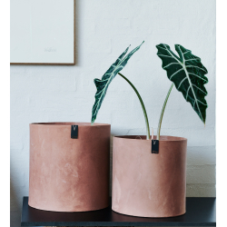 S/2 Tokyo XL Blomsterkrukker, Rustic Brown