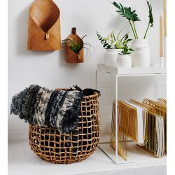 S/3 kurve, water hyacinth