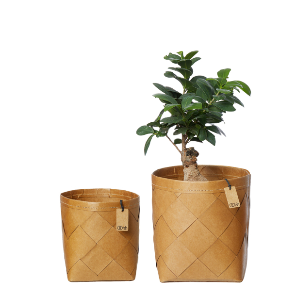 St med 2 hndvvet kurve