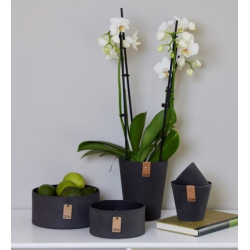 Tokyo orkide potte, Rustic Brown